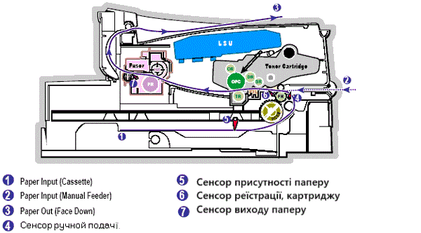 Схематичне зображення розташування роликів і датчика в принтері.